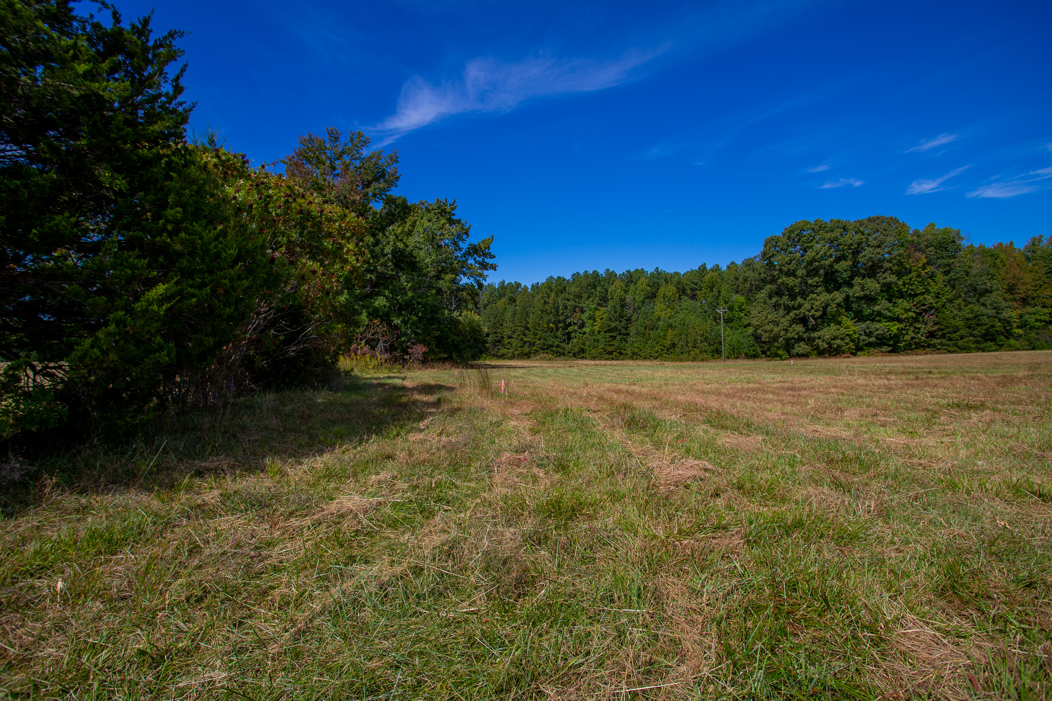 Mostly Open Tract with a Wooded Stream! Tract 14